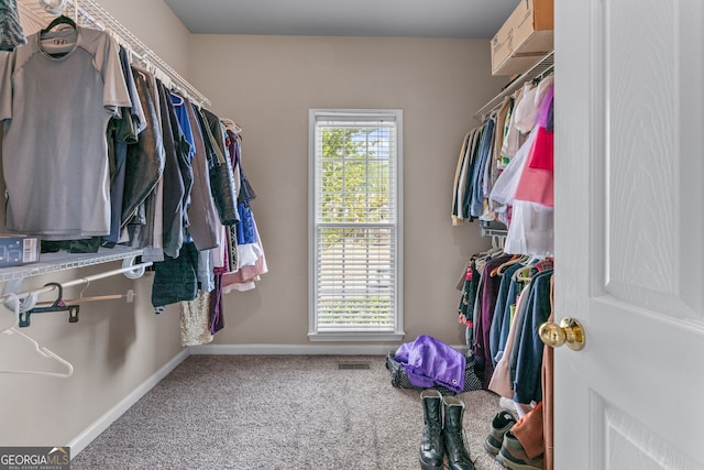 9255 Old Preserve Trl, Ball Ground, GA 30107 - walk in closet featuring carpet floors