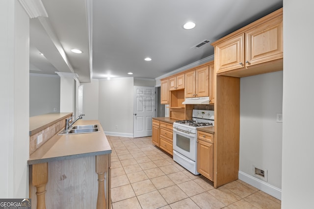 9255 Old Preserve Trl, Ball Ground, GA 30107 - kitchen featuring white gas stove, under cabinet range hood, crown molding, light brown cabinetry, and light tile patterned floors