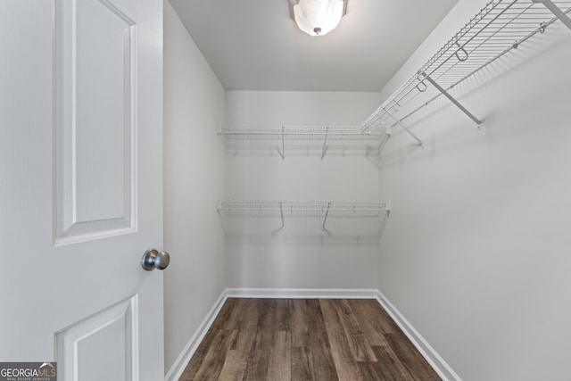 9255 Old Preserve Trl, Ball Ground, GA 30107 - spacious closet with dark wood-style flooring