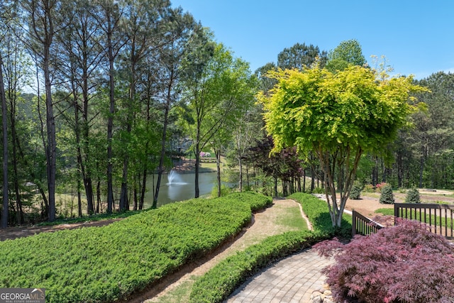 9255 Old Preserve Trl, Ball Ground, GA 30107 - view of community featuring a water view