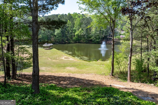 9255 Old Preserve Trl, Ball Ground, GA 30107 - water view featuring a heavily wooded area