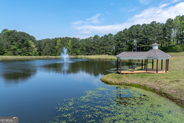 9255 Old Preserve Trl, Ball Ground, GA 30107 - water view with a forest