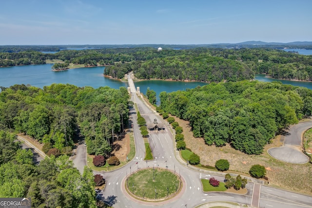 birds eye view of property featuring a water view and a wooded view
