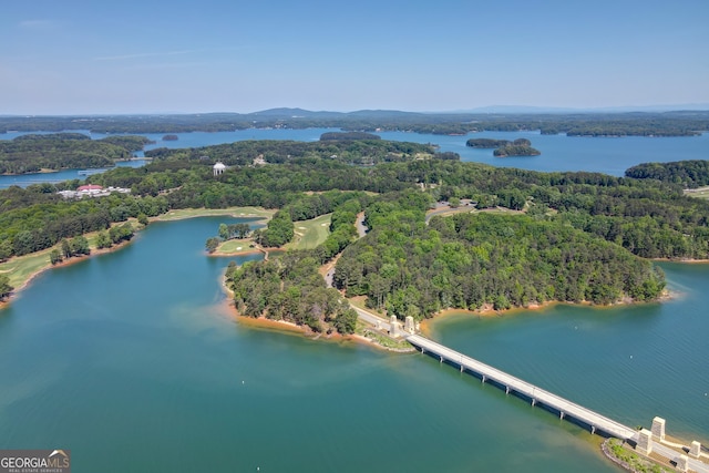 aerial view with a water view and a forest view