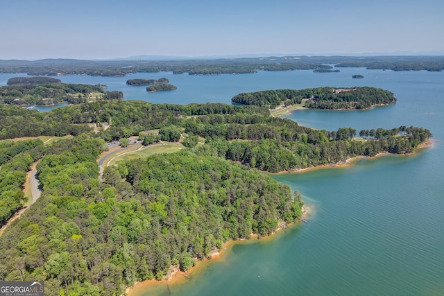 drone / aerial view featuring a wooded view and a water view