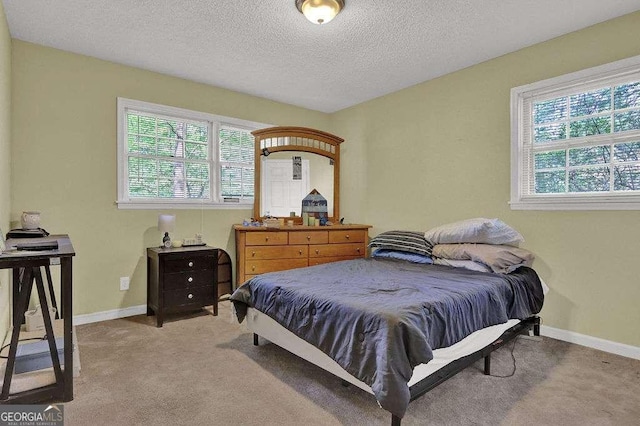4850 Forest Blvd, Gainesville, GA 30506 - bedroom with light colored carpet, baseboards, a textured ceiling, and multiple windows