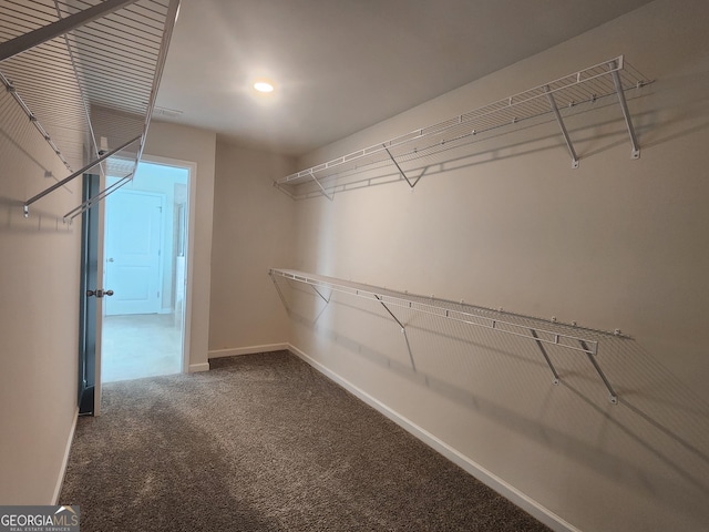 walk in closet with carpet