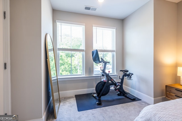 834 S Columbia Dr, Decatur, GA 30030 - workout area featuring carpet flooring, baseboards, and healthy amount of natural light