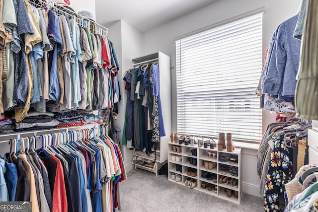 834 S Columbia Dr, Decatur, GA 30030 - spacious closet with carpet flooring