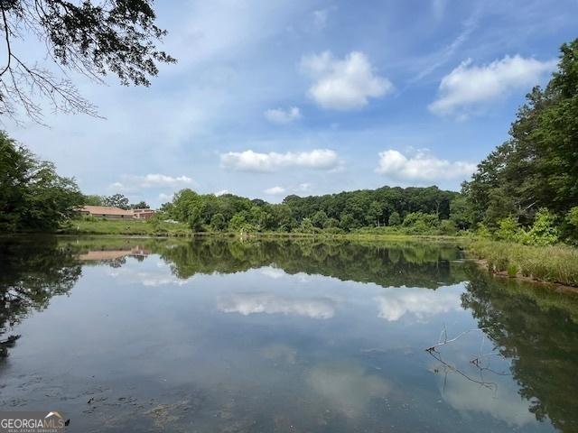 834 S Columbia Dr, Decatur, GA 30030 - water view with a heavily wooded area