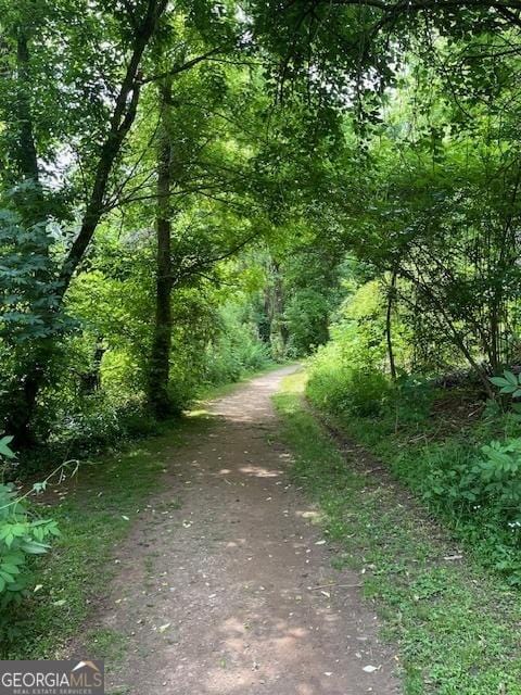 834 S Columbia Dr, Decatur, GA 30030 - view of dirt / gravel road featuring a wooded view