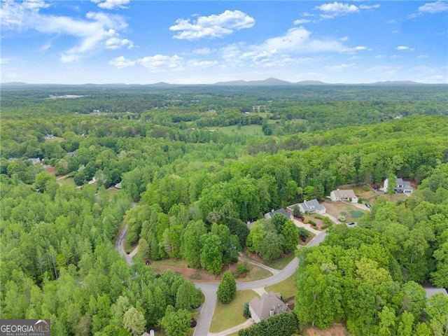 bird's eye view with a wooded view