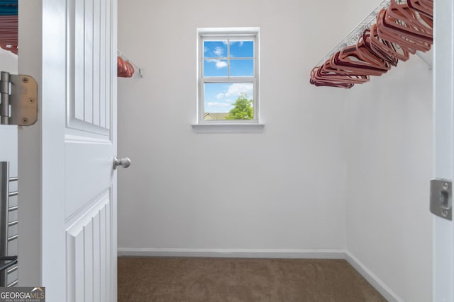 spacious closet featuring carpet flooring