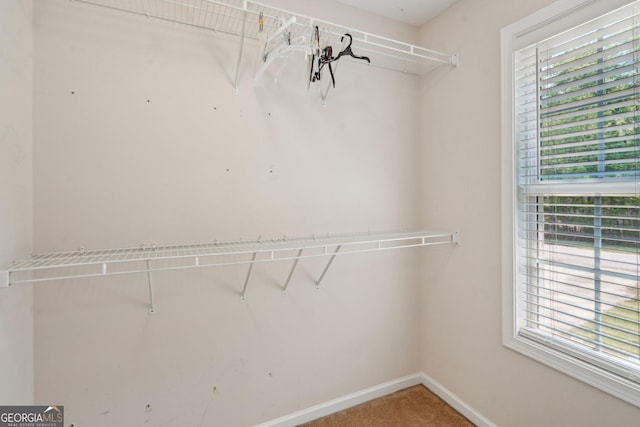 140 Spring Cir, Senoia, GA 30276 - walk in closet featuring carpet floors