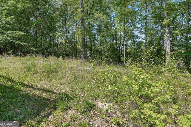 140 Spring Cir, Senoia, GA 30276 - view of nature with a forest view