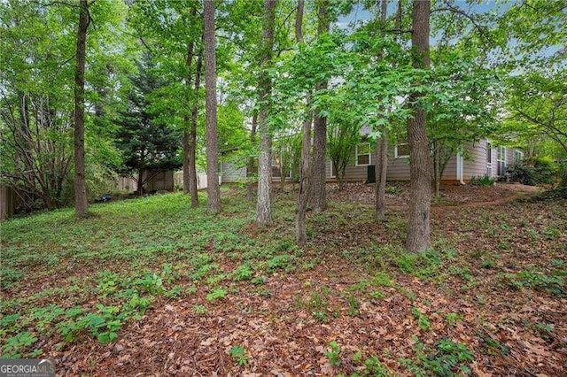 141 Springbrooke Trl, Dallas, GA 30157 - view of yard