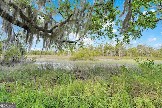 45 Herons Nest, Savannah, GA 31410 - view of landscape featuring a water view