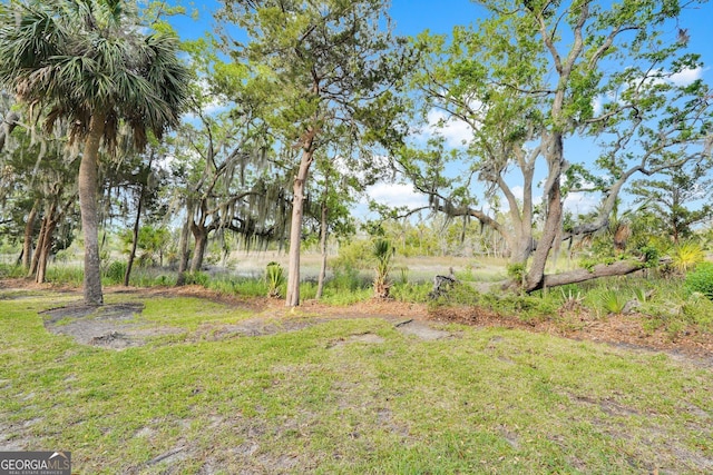 45 Herons Nest, Savannah, GA 31410 - view of yard