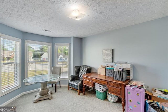 2602 Midler Ct, Buford, GA 30519 - carpeted office space featuring healthy amount of natural light and a textured ceiling