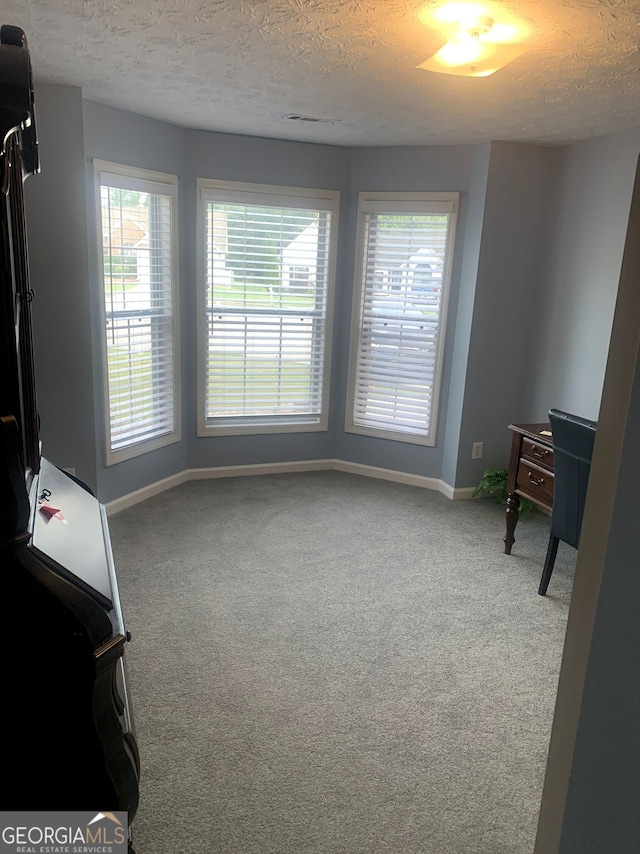 2602 Midler Ct, Buford, GA 30519 - unfurnished office with carpet floors, plenty of natural light, and a textured ceiling