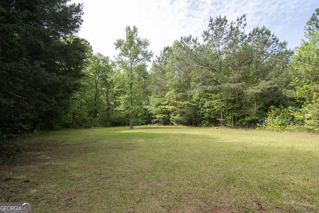 view of yard featuring a wooded view