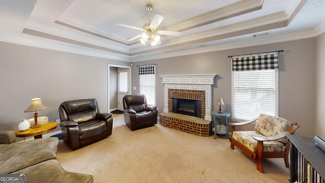 carpeted living area with ornamental molding, a ceiling fan, a raised ceiling, and a fireplace