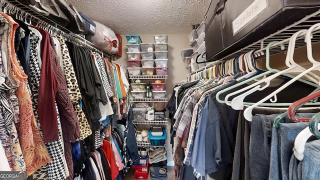 view of walk in closet