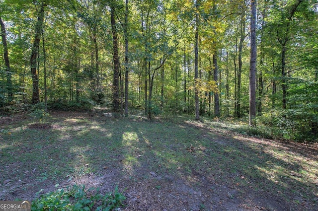 view of yard featuring a view of trees