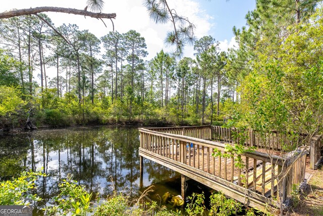 dock area with a water view