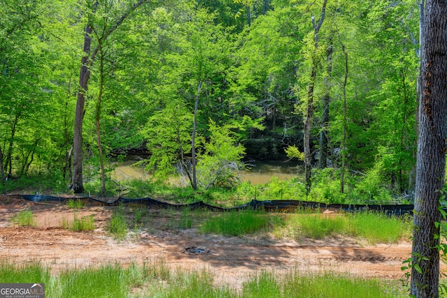 78 Lakota Trl, Royston, GA 30662 - view of local wilderness featuring a view of trees