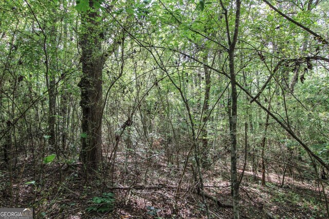 1040 Bridlegate Dr, Watkinsville, GA 30677