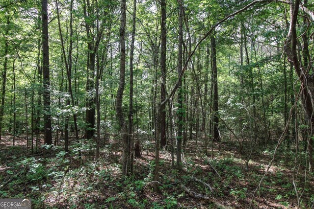 1040 Bridlegate Dr, Watkinsville, GA 30677