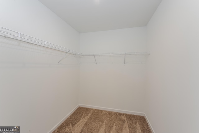 89 Citadel Dr, Hampton, GA 30228 - walk in closet with light carpet