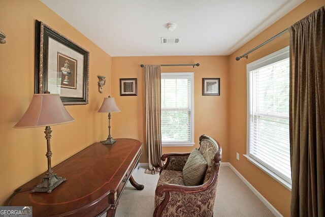 718 Province Pl SE, Atlanta, GA 30312 - office area featuring carpet flooring and baseboards