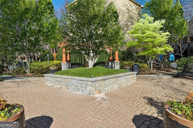 718 Province Pl SE, Atlanta, GA 30312 - view of undeveloped land