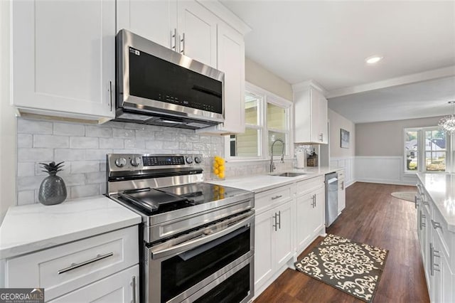 2490 Turtle Ter, Grayson, GA 30017 - kitchen with stainless steel appliances, a wainscoted wall, a sink, white cabinetry, and dark wood-type flooring