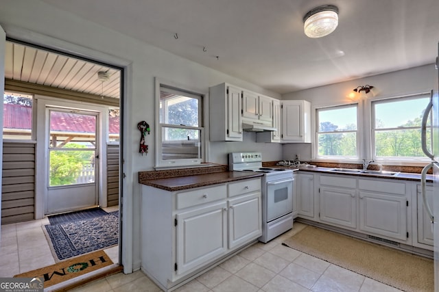 kitchen featuring under cabinet range hood, electric range, a wealth of natural light, and a sink