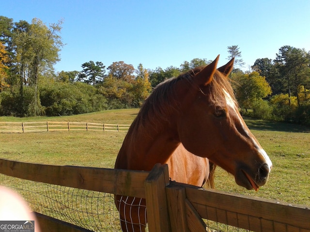 view of stable