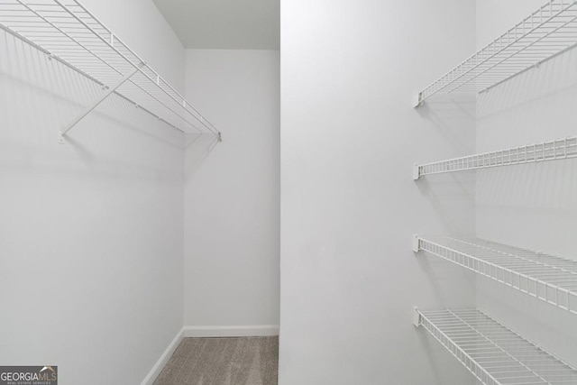 1720 Greystone Trce SE, Conyers, GA 30013 - walk in closet featuring carpet