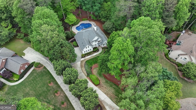 bird's eye view