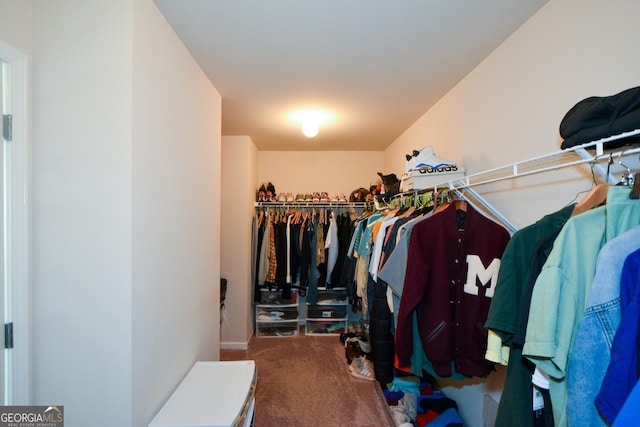 6816 Diamond Dr, Rex, GA 30273 - spacious closet with carpet floors