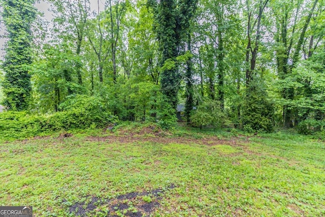 5802 Oakleaf Dr, Stone Mountain, GA 30087 - view of yard