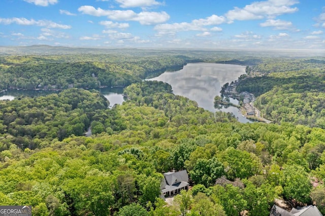aerial view featuring a wooded view and a water view