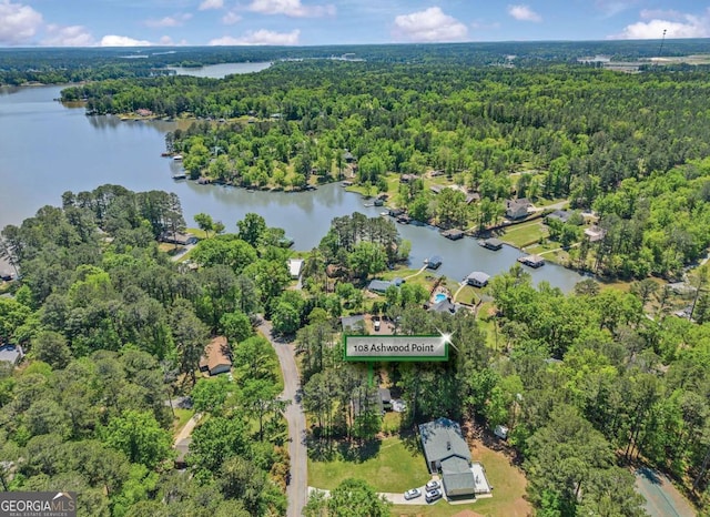 drone / aerial view with a water view and a view of trees