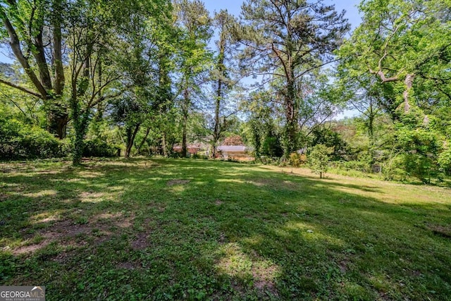 4442 Mercer Rd, Decatur, GA 30035 - view of yard