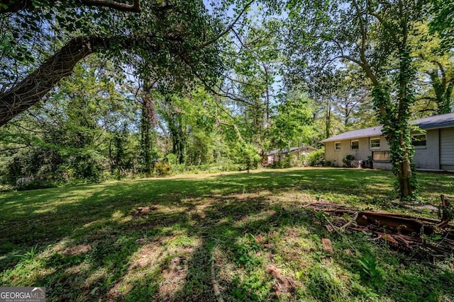 4442 Mercer Rd, Decatur, GA 30035 - view of yard