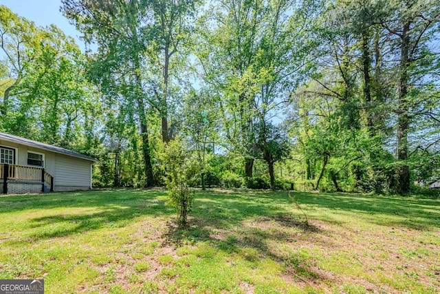 4442 Mercer Rd, Decatur, GA 30035 - view of yard