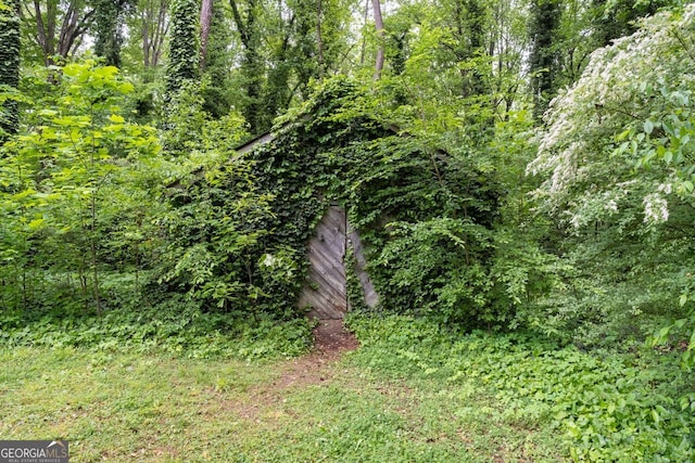 view of yard with a wooded view