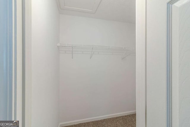 8051 Trinity Park Dr, Riverdale, GA 30296 - spacious closet featuring attic access and carpet floors