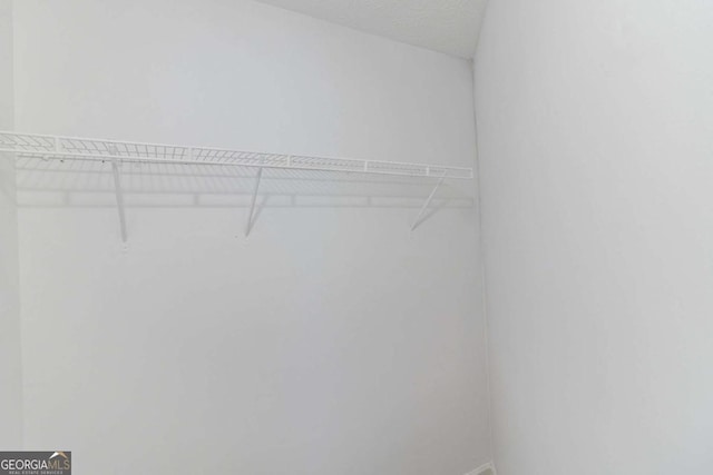 8051 Trinity Park Dr, Riverdale, GA 30296 - view of spacious closet